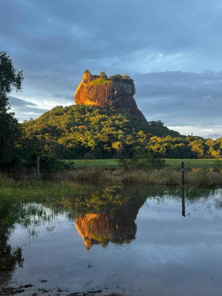 Mango Villa Sigiriya Exterior photo